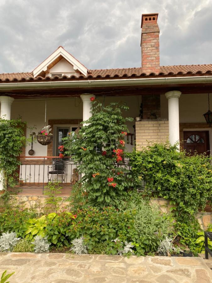 Country Club La Mesteceni Sebeş Esterno foto