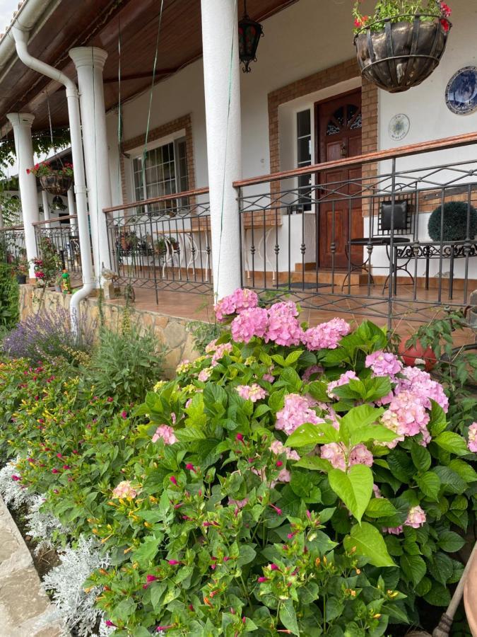 Country Club La Mesteceni Sebeş Esterno foto